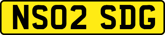 NS02SDG