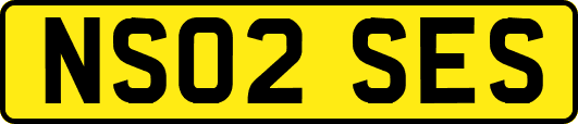 NS02SES