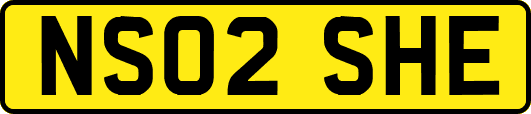 NS02SHE