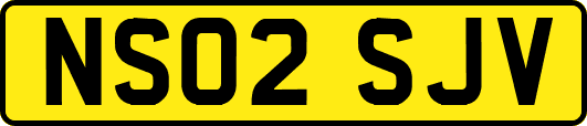 NS02SJV