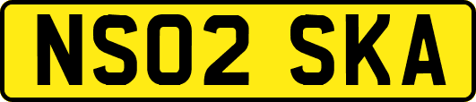 NS02SKA