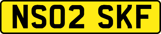 NS02SKF