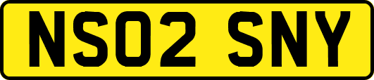 NS02SNY