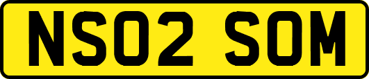 NS02SOM