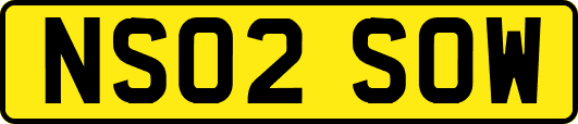 NS02SOW