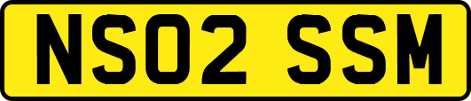 NS02SSM
