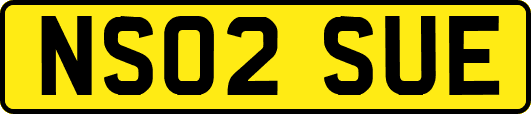 NS02SUE