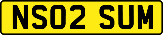 NS02SUM
