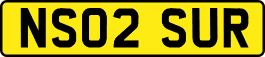 NS02SUR