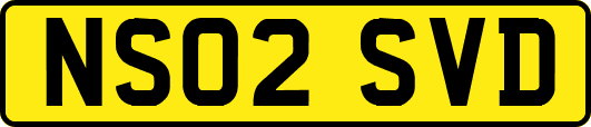 NS02SVD