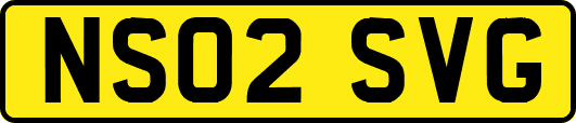 NS02SVG
