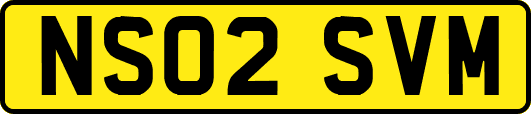 NS02SVM