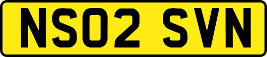 NS02SVN