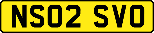 NS02SVO