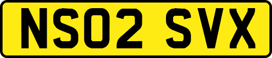 NS02SVX