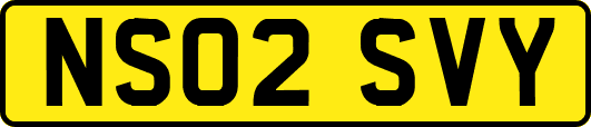NS02SVY