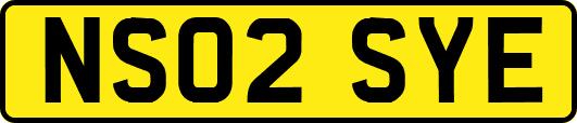 NS02SYE