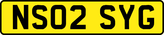 NS02SYG