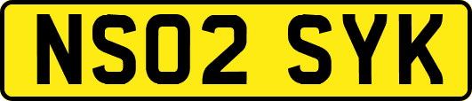 NS02SYK