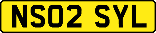 NS02SYL