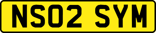 NS02SYM
