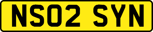 NS02SYN