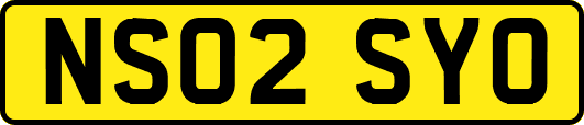 NS02SYO