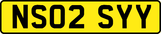 NS02SYY