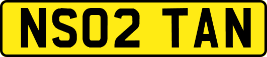 NS02TAN
