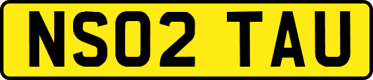 NS02TAU