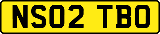 NS02TBO