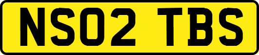 NS02TBS