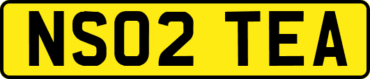 NS02TEA
