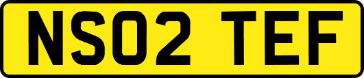 NS02TEF