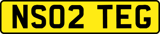 NS02TEG