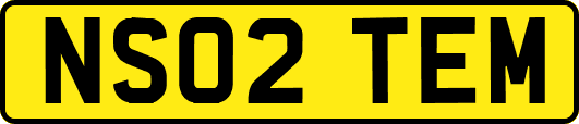 NS02TEM