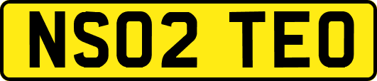 NS02TEO