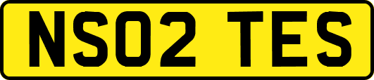 NS02TES