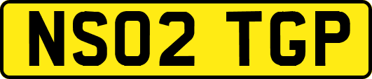 NS02TGP
