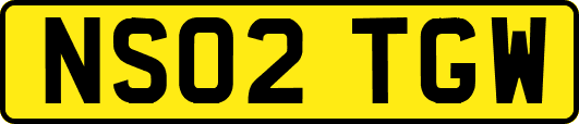NS02TGW