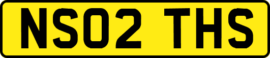 NS02THS