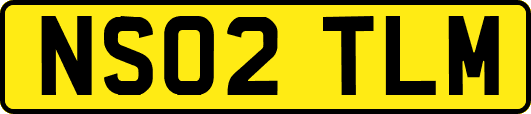 NS02TLM