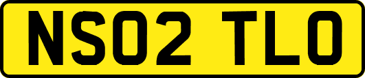 NS02TLO