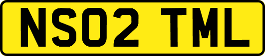 NS02TML