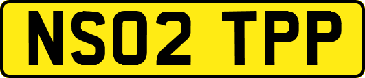 NS02TPP