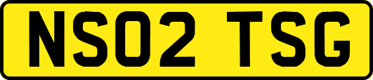 NS02TSG