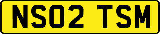 NS02TSM