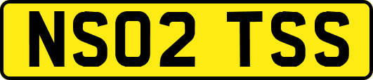 NS02TSS