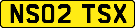 NS02TSX