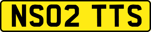 NS02TTS